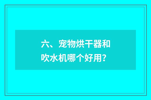 六、宠物烘干器和吹水机哪个好用?