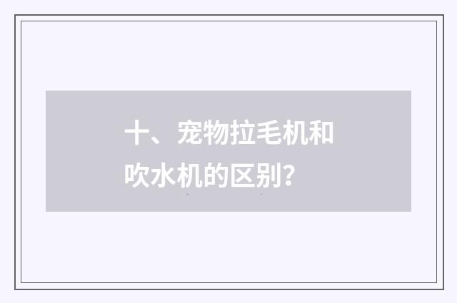十、宠物拉毛机和吹水机的区别？