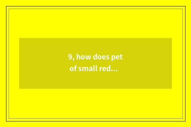 9, how does pet of small red chestnut blow water machine to tear open?