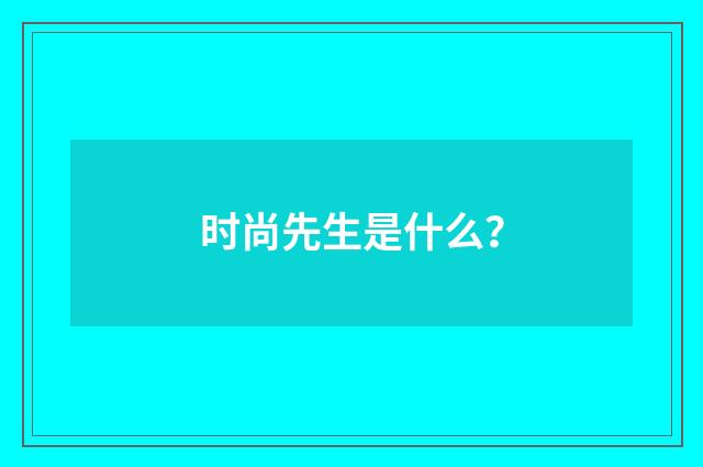 时尚先生是什么?