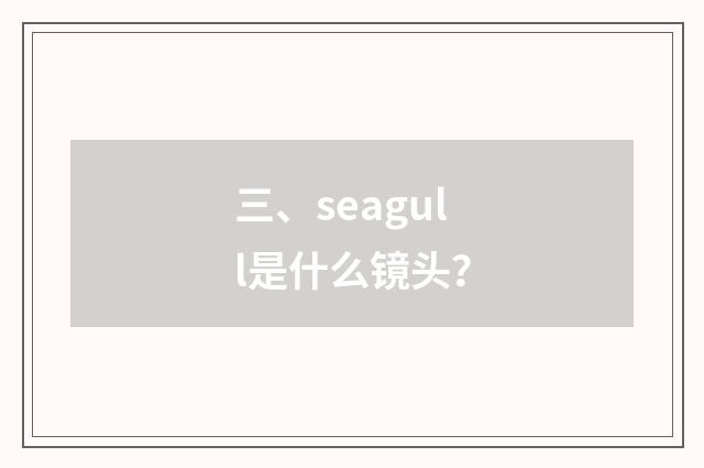 三、seagull是什么镜头？