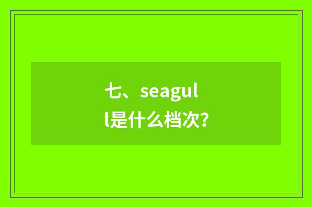 七、seagull是什么档次?