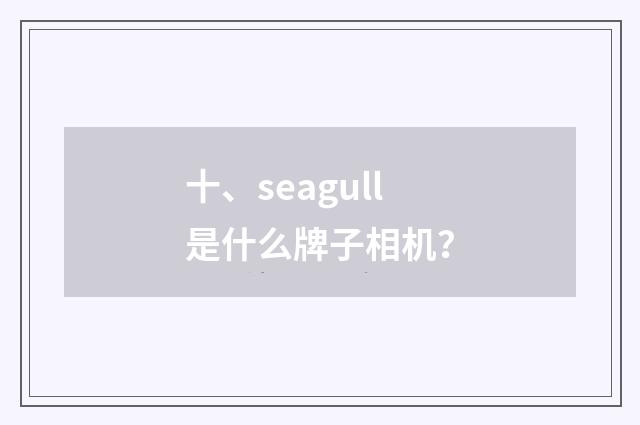 十、seagull是什么牌子相机？