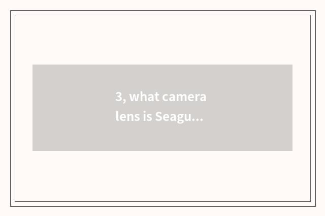 3, what camera lens is Seagull?