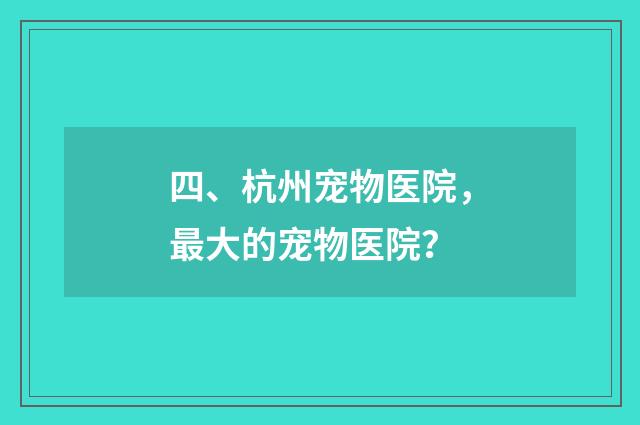 四、杭州宠物医院，最大的宠物医院？