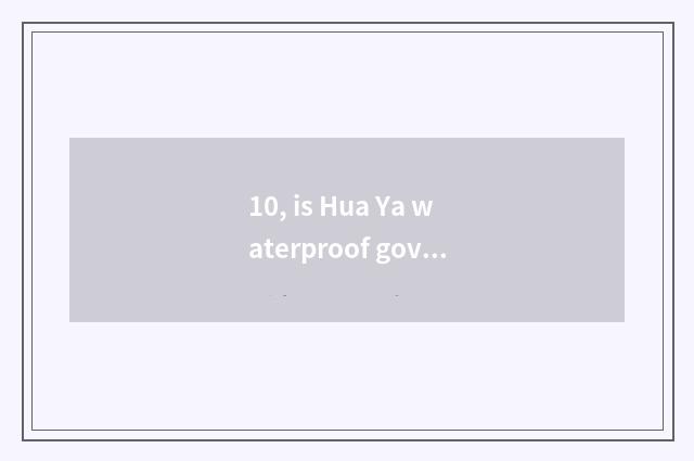 10, is Hua Ya waterproof government-owned net?