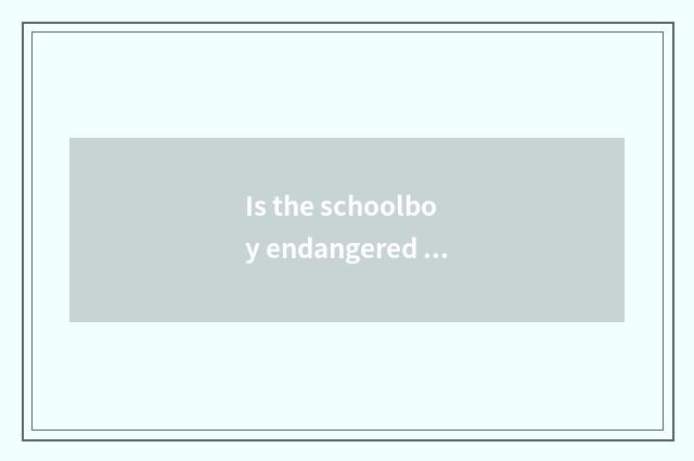 Is the schoolboy endangered in what bar goes to work?