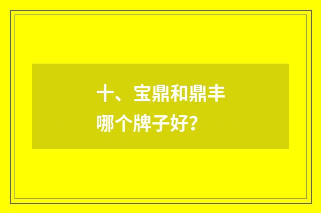 十、宝鼎和鼎丰哪个牌子好?