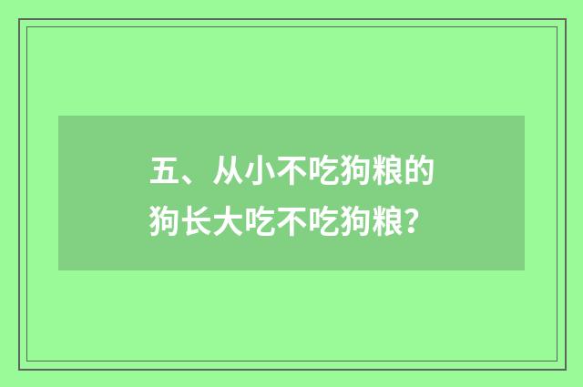 五、从小不吃狗粮的狗长大吃不吃狗粮?