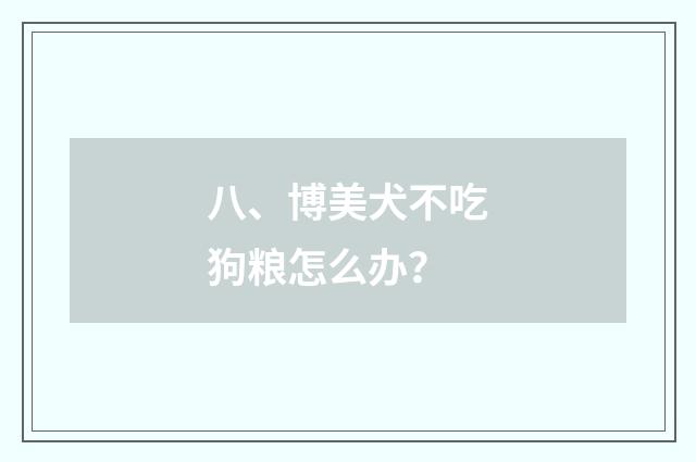 八、博美犬不吃狗粮怎么办？