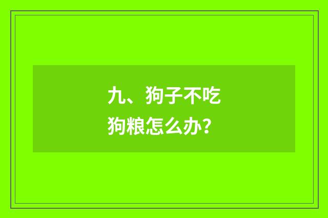 九、狗子不吃狗粮怎么办?