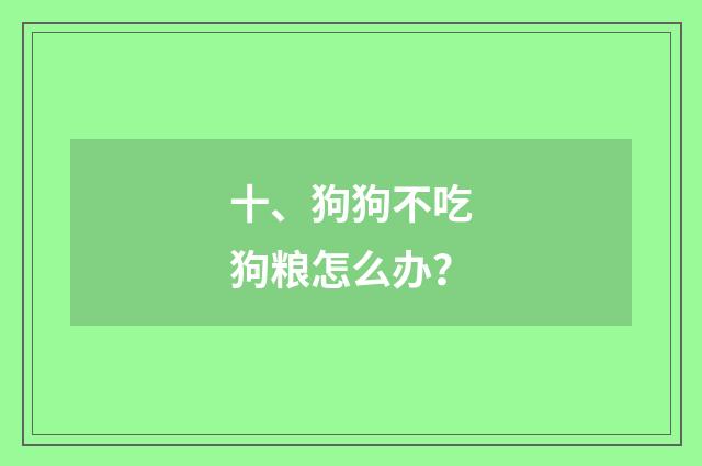 十、狗狗不吃狗粮怎么办?
