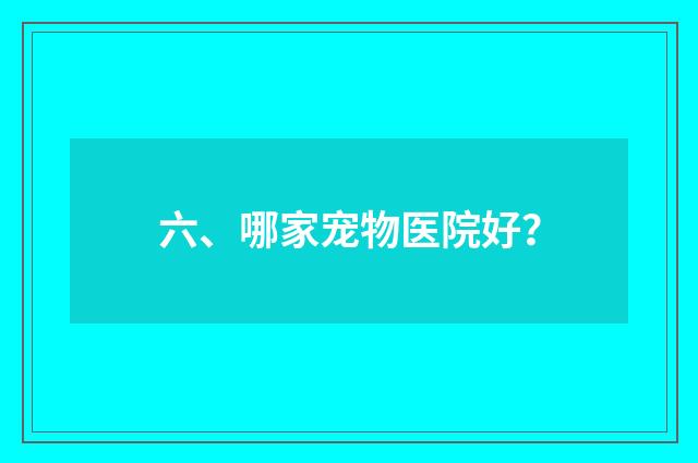 六、哪家宠物医院好?