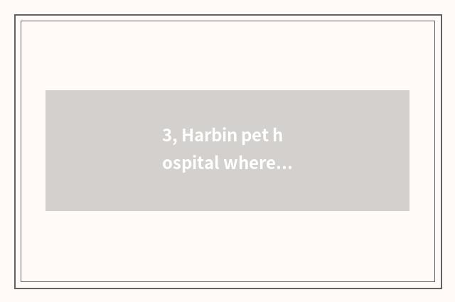 3, Harbin pet hospital where home is good cheap still?
