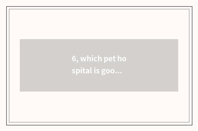 6, which pet hospital is good?