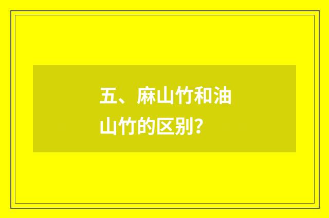五、麻山竹和油山竹的区别?