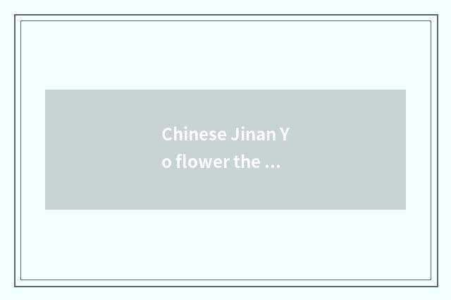 Chinese Jinan Yo flower the Yo of the middle school flower spirit?