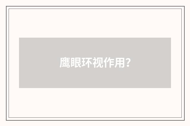 鹰眼环视作用？