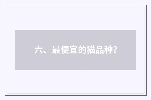 六、最便宜的猫品种?