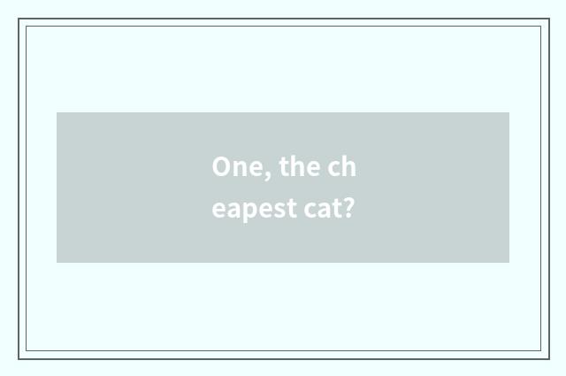One, the cheapest cat?
