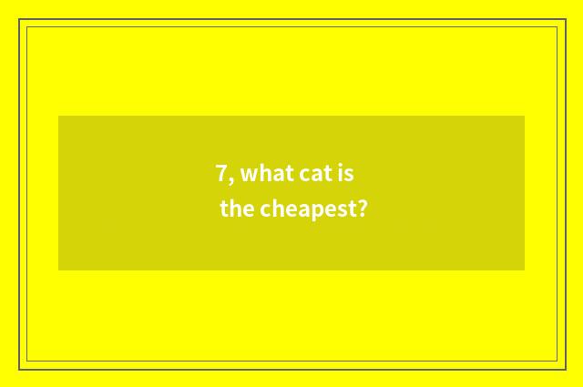 7, what cat is the cheapest?