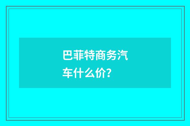 巴菲特商务汽车什么价?