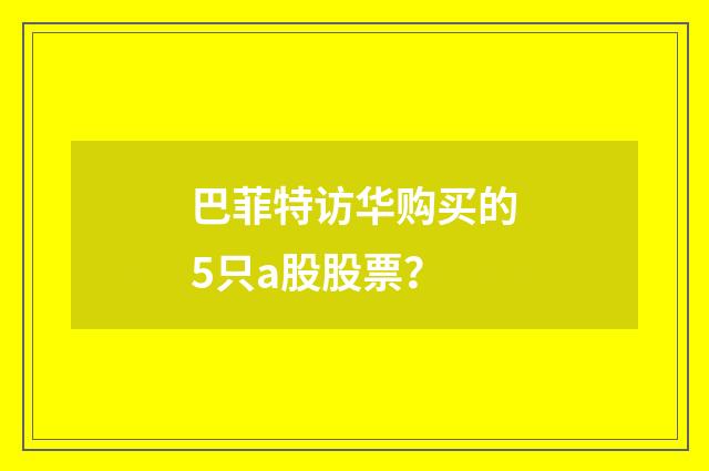 巴菲特访华购买的5只a股股票？