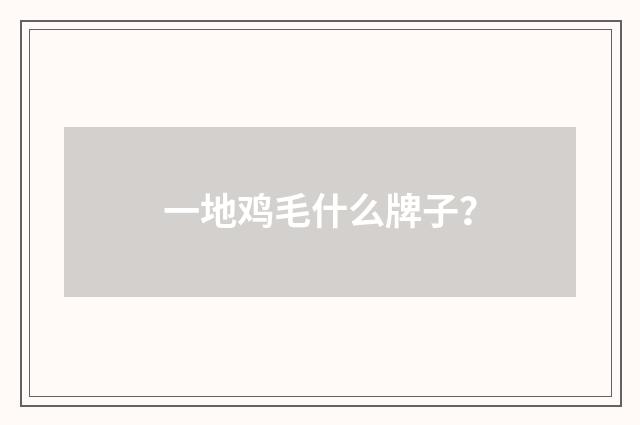 一地鸡毛什么牌子？