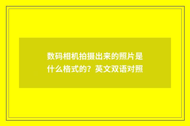 数码相机拍摄出来的照片是什么格式的？英文双语对照