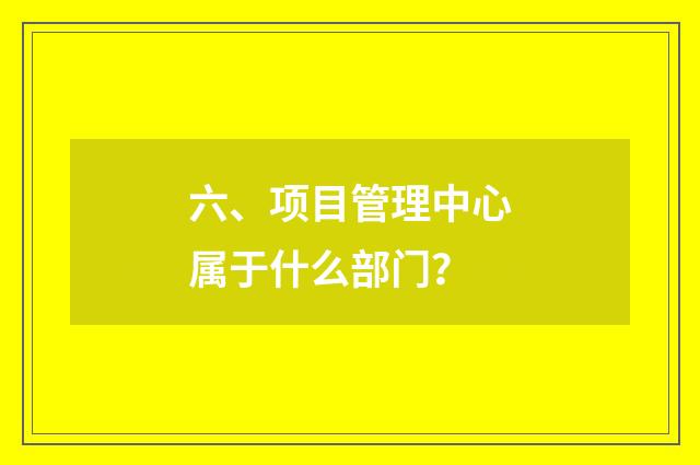 六、项目管理中心属于什么部门？