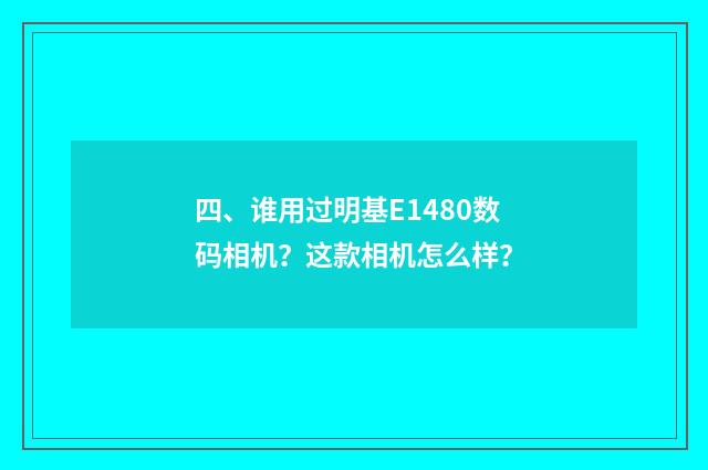 四、谁用过明基E1480数码相机?这款相机怎么样?