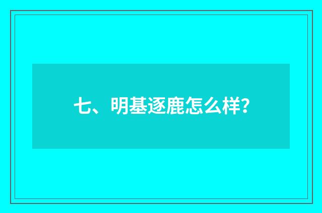 七、明基逐鹿怎么样?