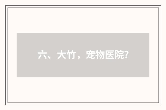 六、大竹,宠物医院?