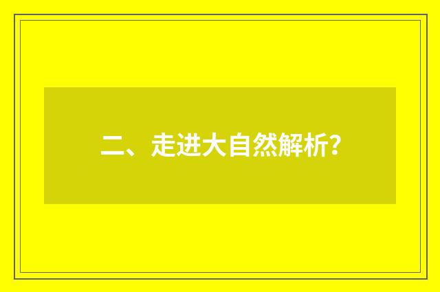二、走进大自然解析?