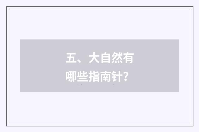 五、大自然有哪些指南针?