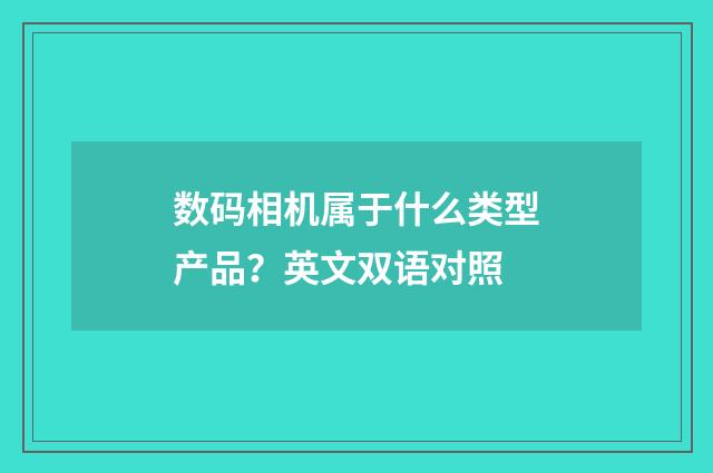 数码相机属于什么类型产品?英文双语对照