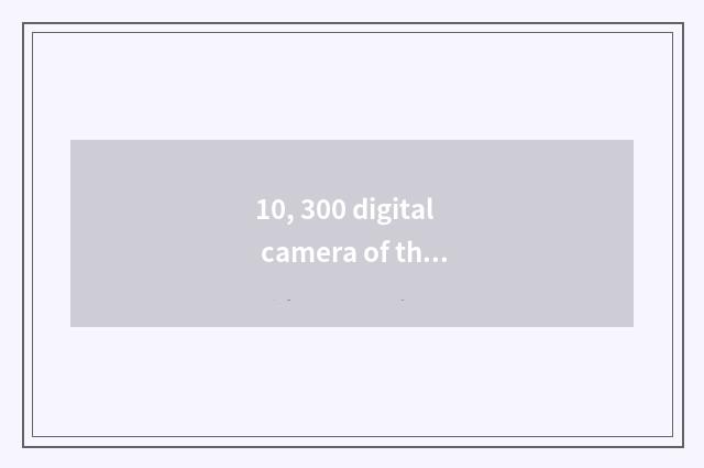 10, 300 digital camera of the left and right sides?