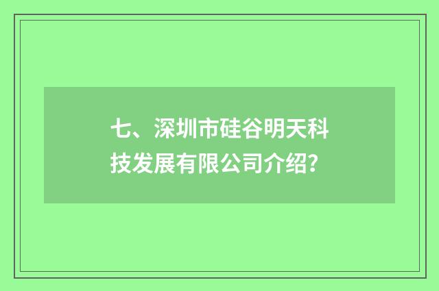 七、深圳市硅谷明天科技发展有限公司介绍?