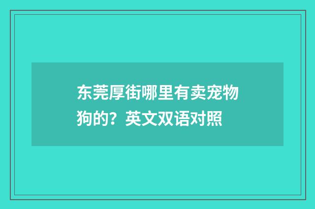 东莞厚街哪里有卖宠物狗的?英文双语对照