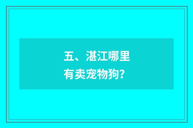 五、湛江哪里有卖宠物狗?