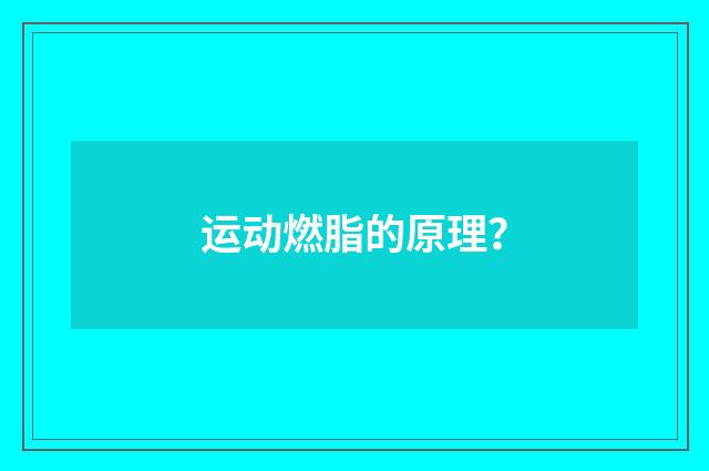 运动燃脂的原理？
