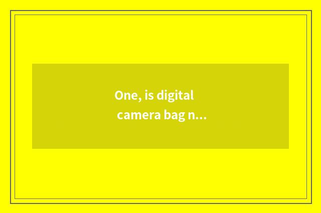 One, is digital camera bag necessary to buy?