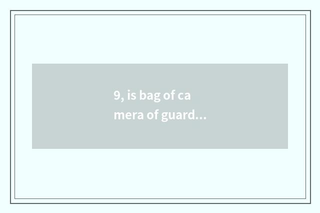 9, is bag of camera of guard against theft recommended?