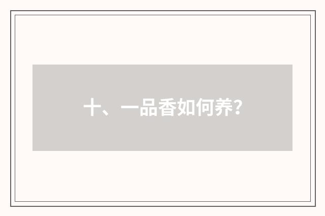 十、一品香如何养？