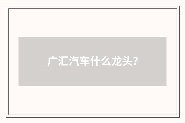 广汇汽车什么龙头?