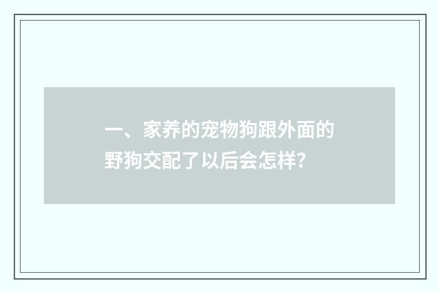 一、家养的宠物狗跟外面的野狗交配了以后会怎样?