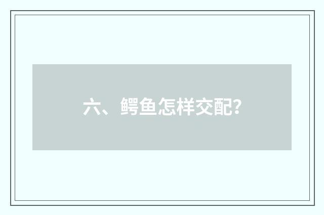 六、鳄鱼怎样交配?