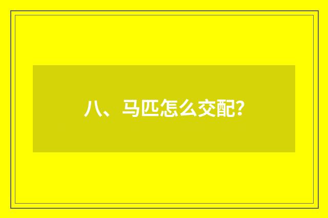 八、马匹怎么交配？