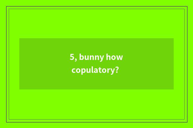 5, bunny how copulatory?