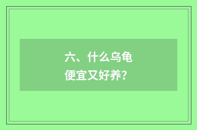 六、什么乌龟便宜又好养?